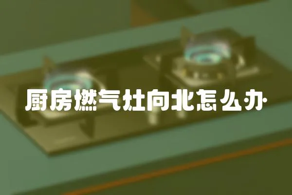 廚房燃?xì)庠钕虮痹趺崔k