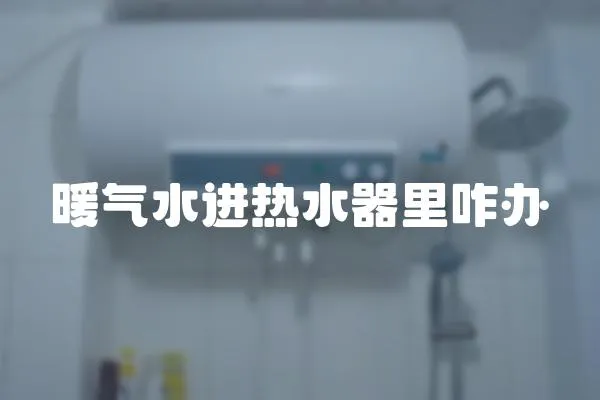 暖氣水進熱水器里咋辦