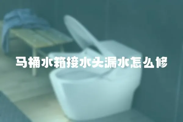馬桶水箱接水頭漏水怎么修