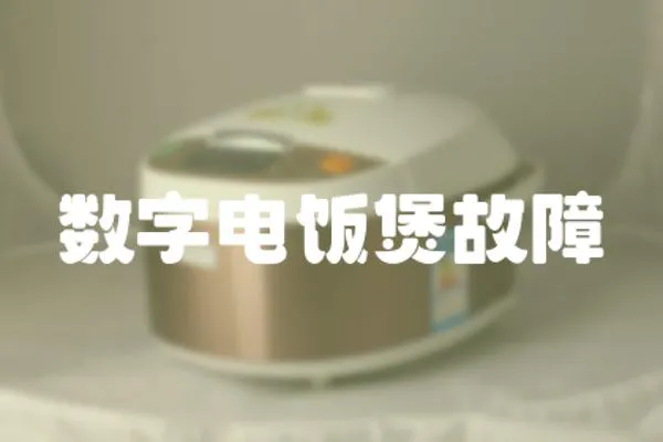 數字電飯煲故障