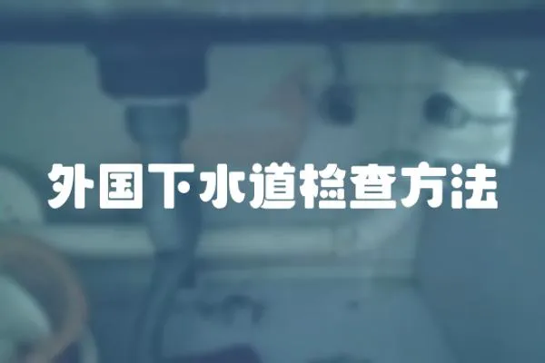 外國下水道檢查方法