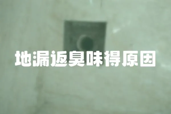 地漏返臭味得原因