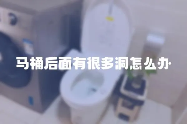 馬桶后面有很多洞怎么辦