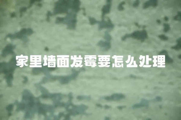 家里墻面發(fā)霉要怎么處理