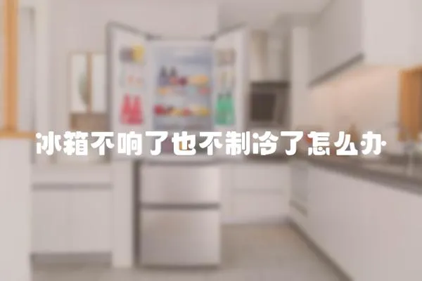 冰箱不響了也不制冷了怎么辦