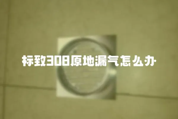 標致308原地漏氣怎么辦