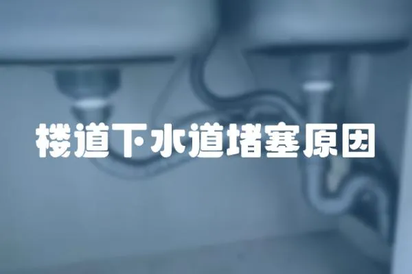 樓道下水道堵塞原因