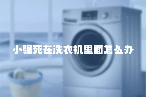 小強死在洗衣機里面怎么辦
