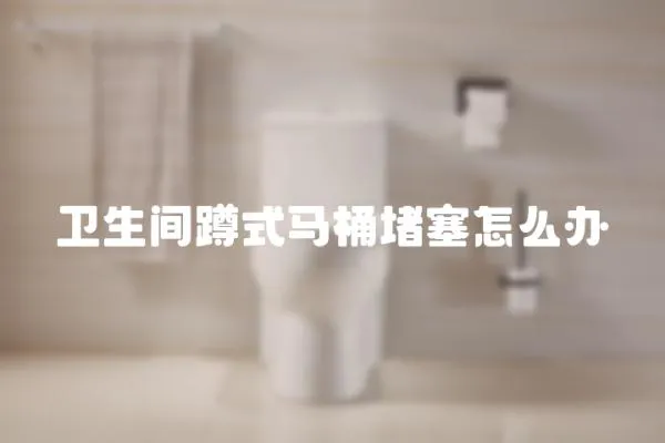 衛生間蹲式馬桶堵塞怎么辦