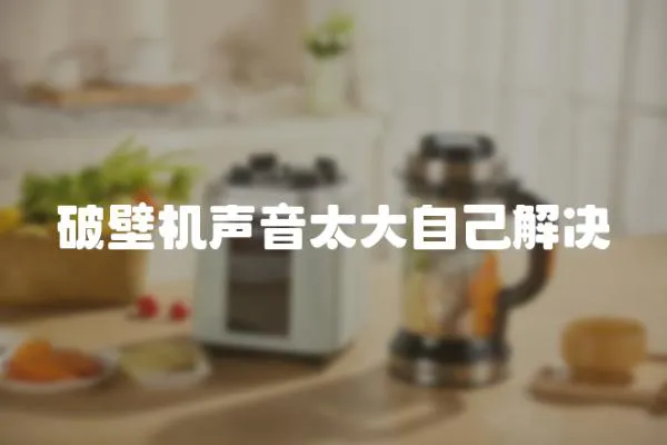 破壁機聲音太大自己解決