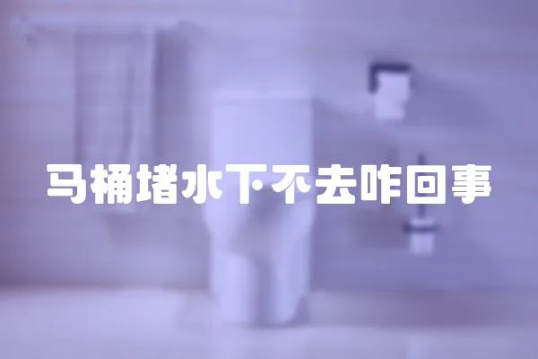 馬桶堵水下不去咋回事