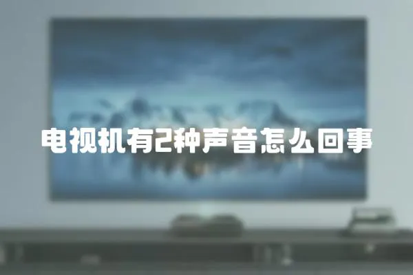 電視機有2種聲音怎么回事