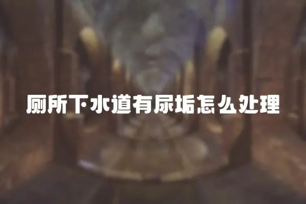 廁所下水道有尿垢怎么處理