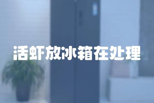 活蝦放冰箱在處理