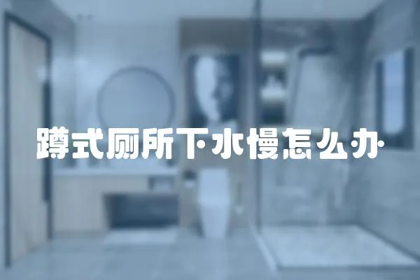 蹲式廁所下水慢怎么辦