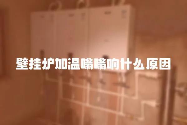 壁掛爐加溫嗡嗡響什么原因