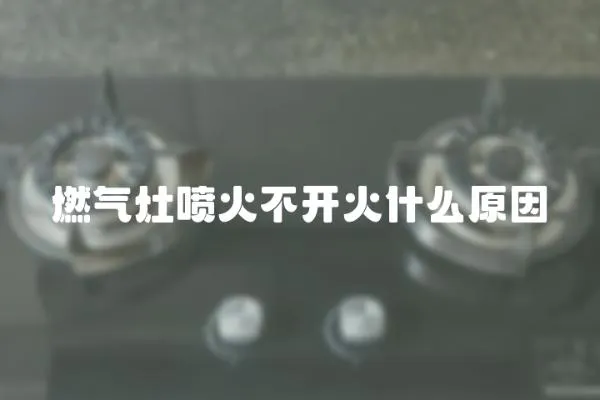 燃氣灶噴火不開火什么原因