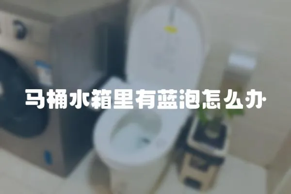 馬桶水箱里有藍泡怎么辦