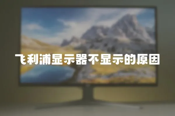 飛利浦顯示器不顯示的原因