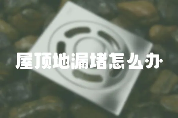 屋頂地漏堵怎么辦