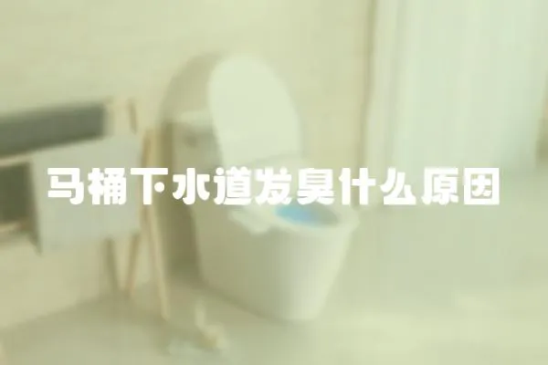 馬桶下水道發臭什么原因