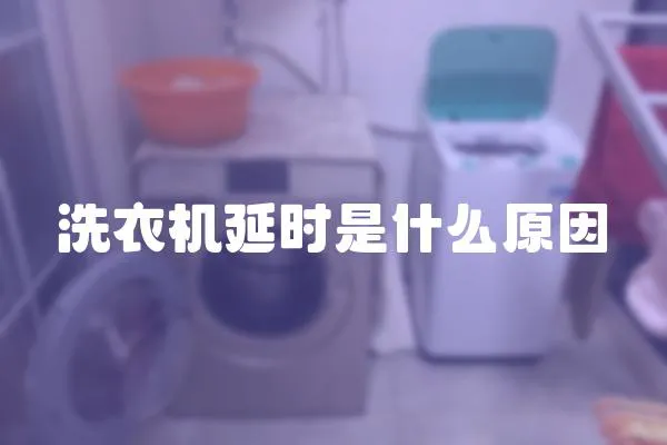 洗衣機延時是什么原因