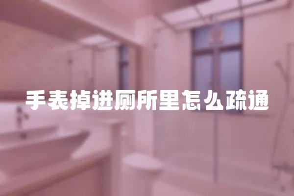 手表掉進廁所里怎么疏通