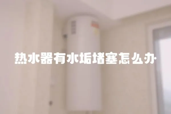 熱水器有水垢堵塞怎么辦