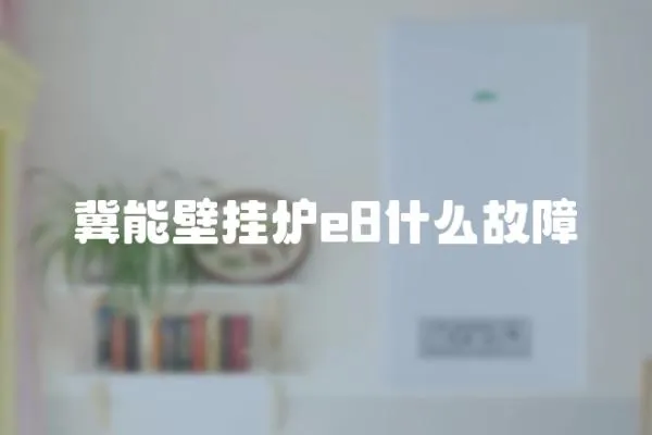 冀能壁掛爐e8什么故障
