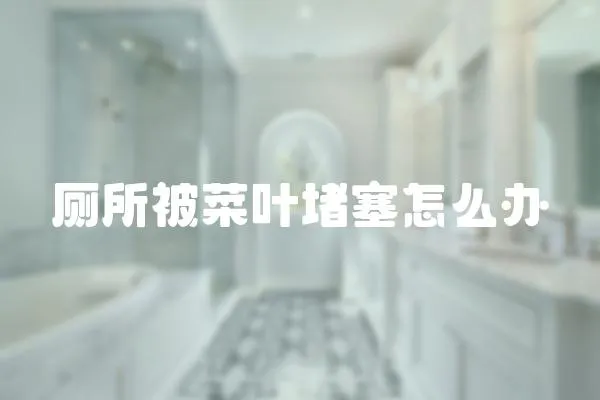 廁所被菜葉堵塞怎么辦