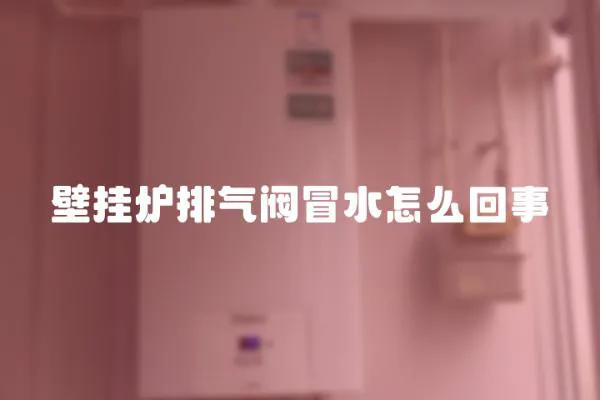 壁掛爐排氣閥冒水怎么回事