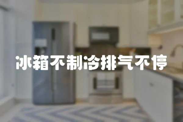 冰箱不制冷排氣不停