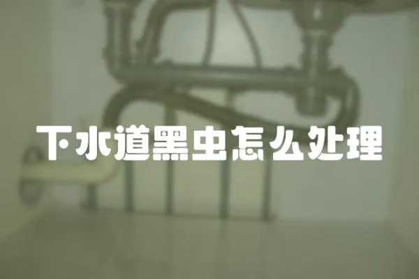 下水道黑蟲怎么處理