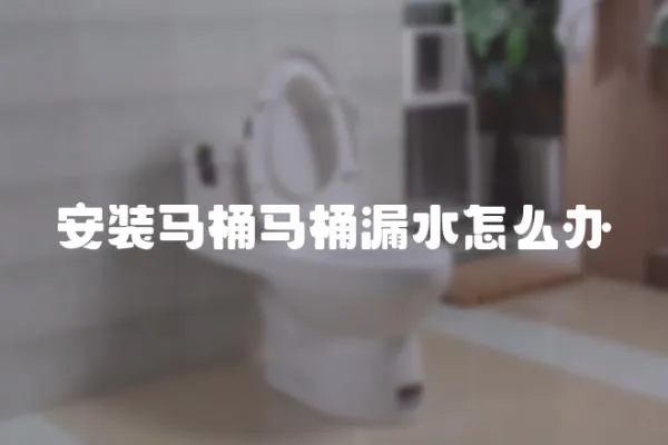 安裝馬桶馬桶漏水怎么辦
