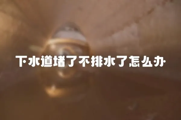 下水道堵了不排水了怎么辦