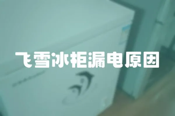 飛雪冰柜漏電原因