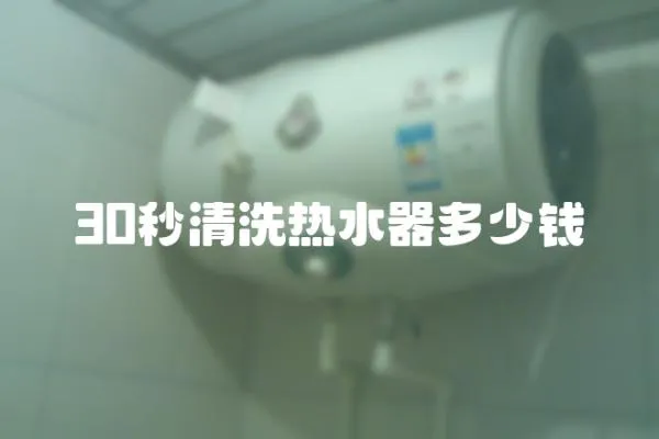 30秒清洗熱水器多少錢