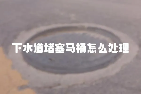 下水道堵塞馬桶怎么處理