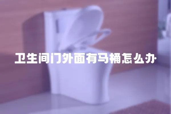 衛(wèi)生間門外面有馬桶怎么辦