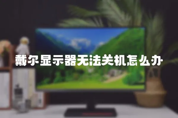 戴爾顯示器無法關機怎么辦