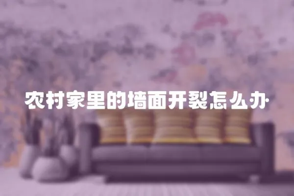 農(nóng)村家里的墻面開裂怎么辦