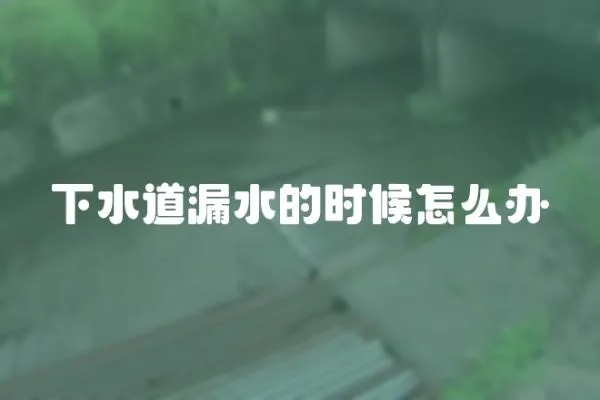 下水道漏水的時候怎么辦