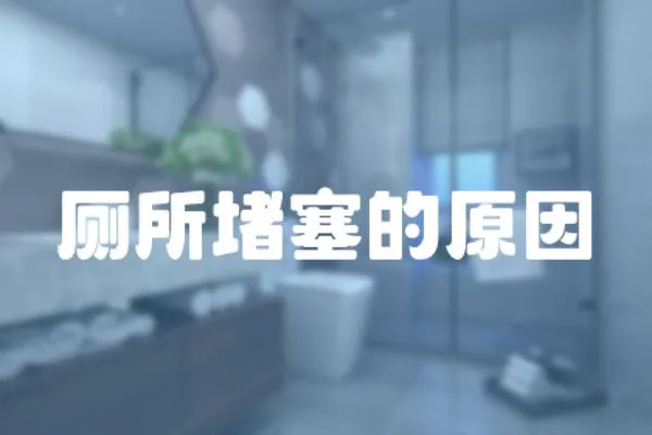 廁所堵塞的原因