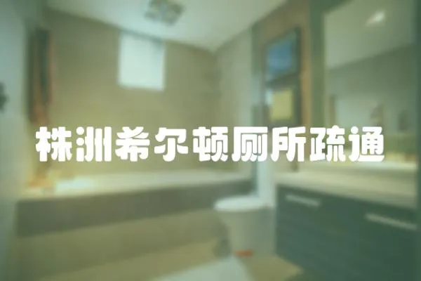 株洲希爾頓廁所疏通