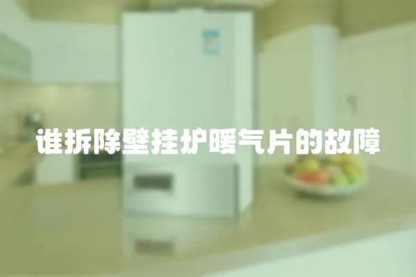 誰拆除壁掛爐暖氣片的故障