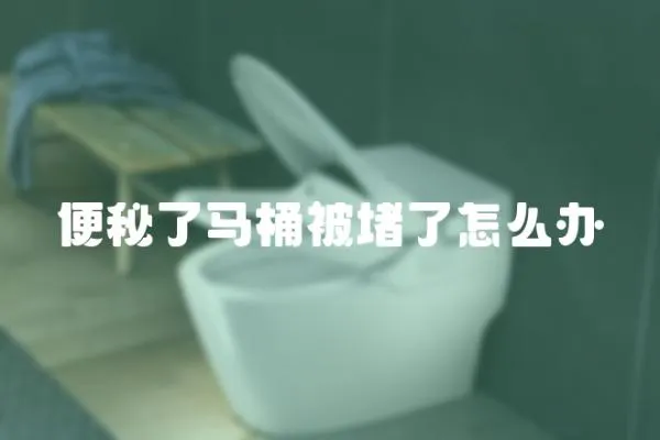 便秘了馬桶被堵了怎么辦