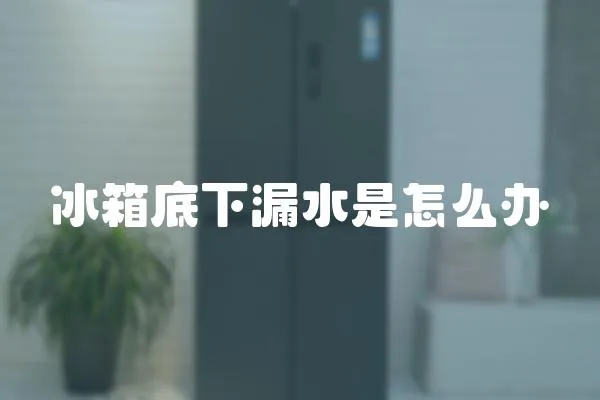 冰箱底下漏水是怎么辦