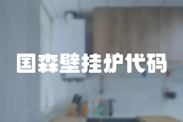 國森壁掛爐代碼