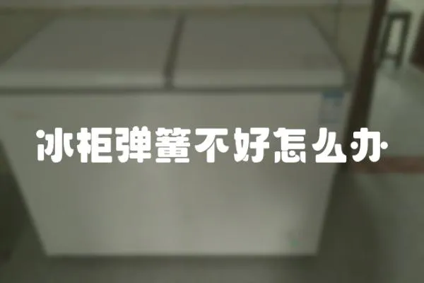 冰柜彈簧不好怎么辦
