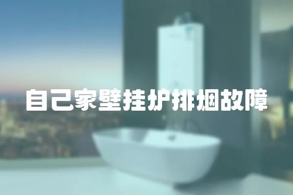 自己家壁掛爐排煙故障